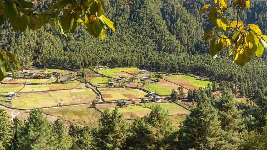 Groen Bhutan